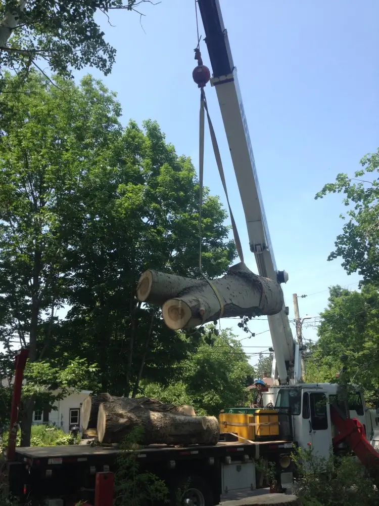 aerial lift